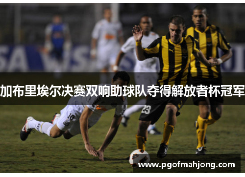 加布里埃尔决赛双响助球队夺得解放者杯冠军