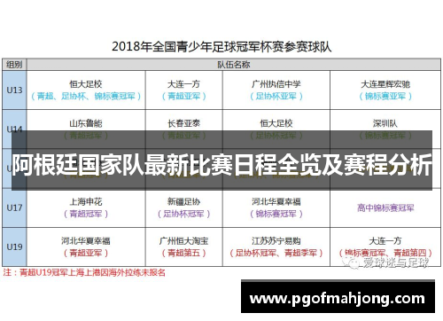 阿根廷国家队最新比赛日程全览及赛程分析