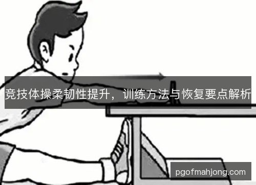 竞技体操柔韧性提升，训练方法与恢复要点解析