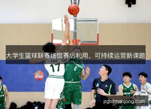 大学生篮球联赛场馆赛后利用,可持续运营新课题 大学生篮球联赛场馆赛后利用,可持续运营新课题